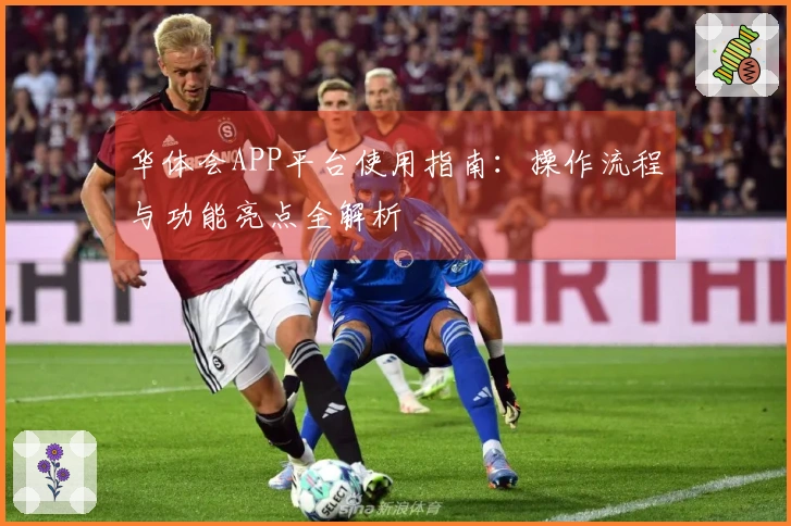 华体会APP平台使用指南：操作流程与功能亮点全解析